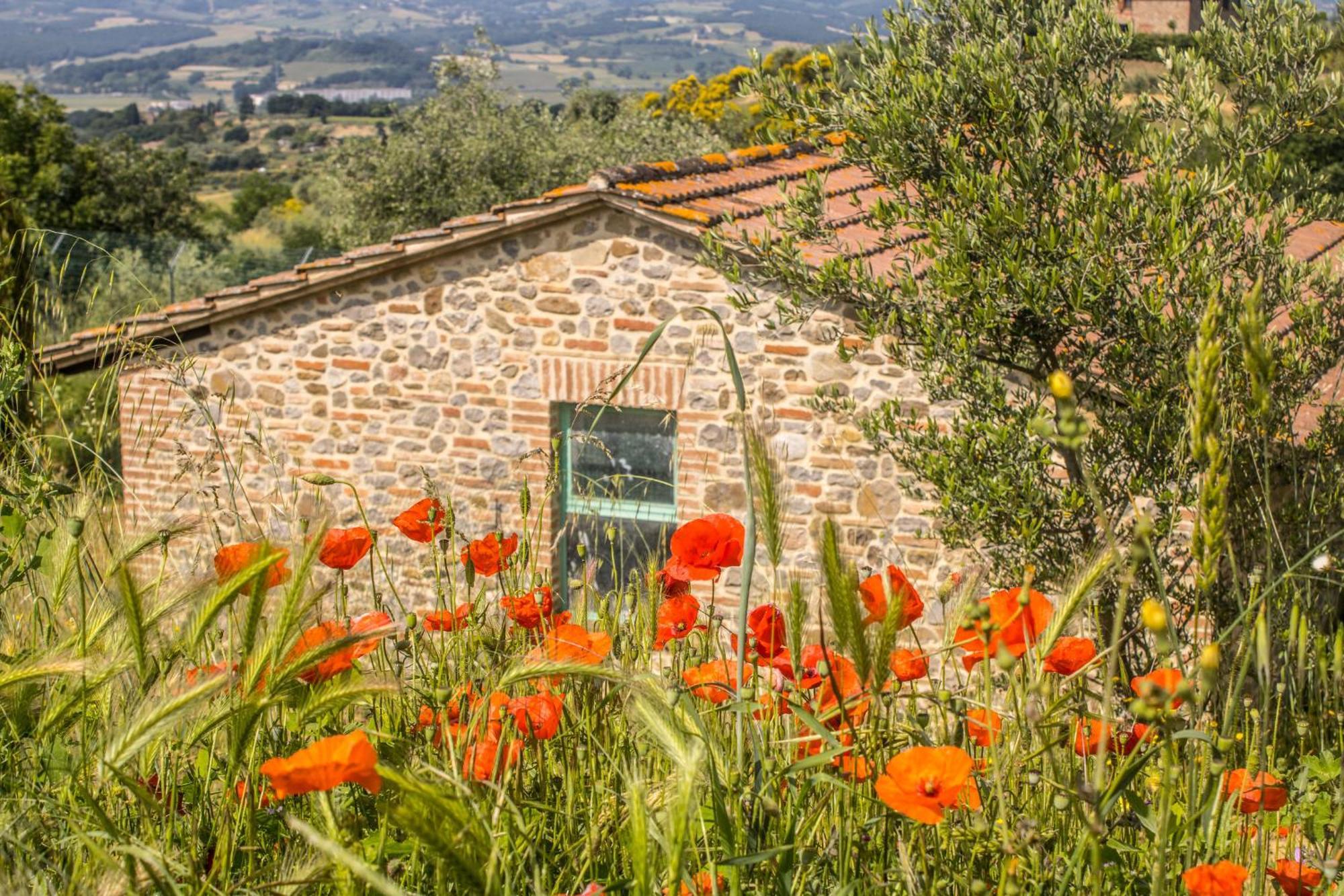 Agriturismo Dandelion Città della Pieve Eksteriør bilde