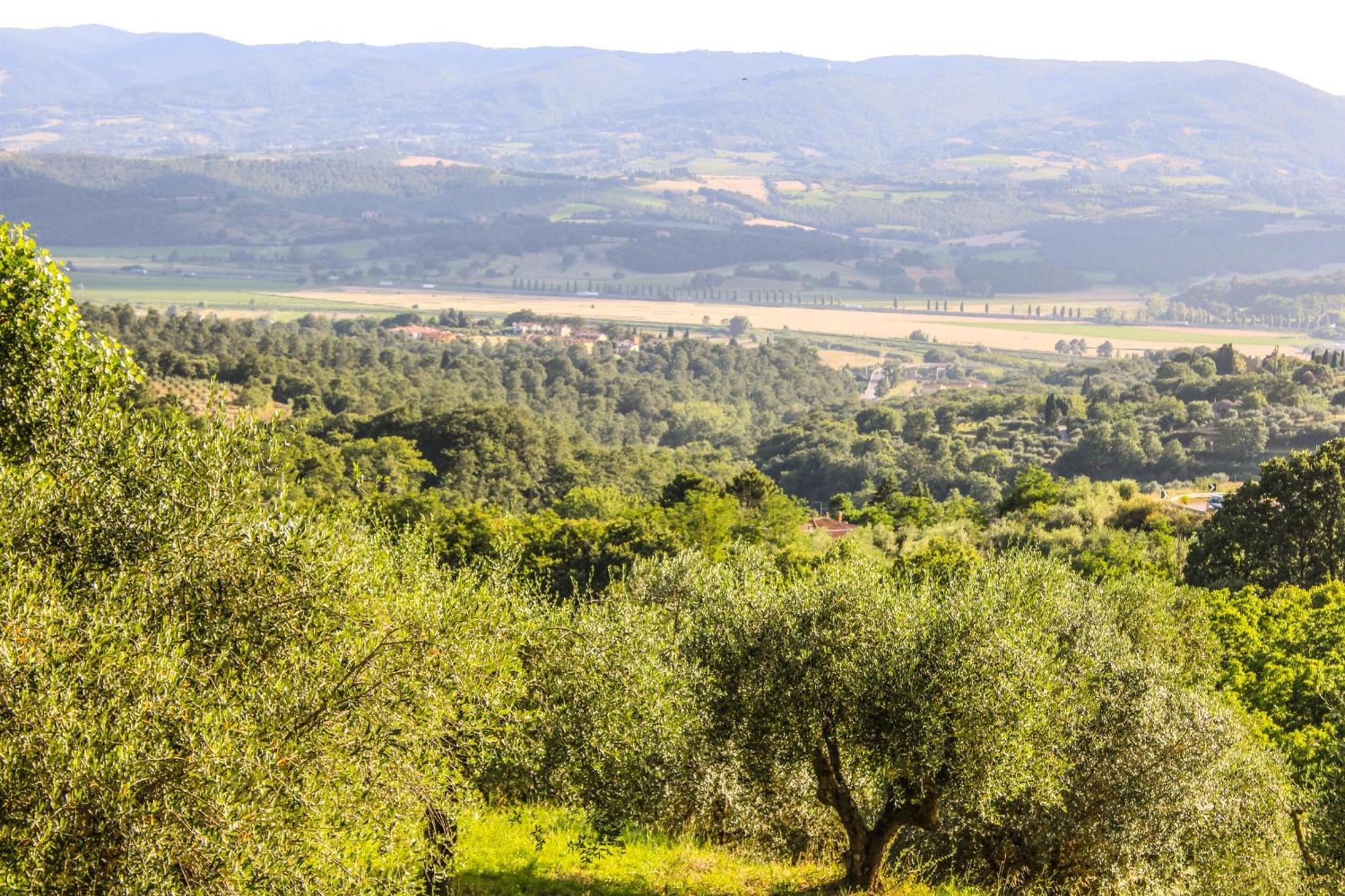 Agriturismo Dandelion Città della Pieve Eksteriør bilde